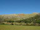 Finca en venta en Pollença