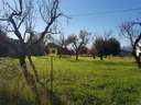 Parcela urbana en venta en Campanet, rebajada