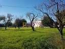 Parcela urbana en venta en Campanet, rebajada