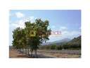 Finca en venta en Sa Pobla