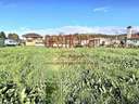 Parcela urbana en venta en Piélagos