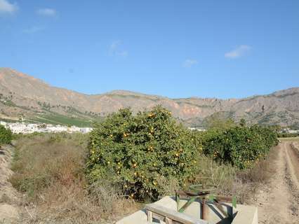 Parcela rústica en venta en Orihuela