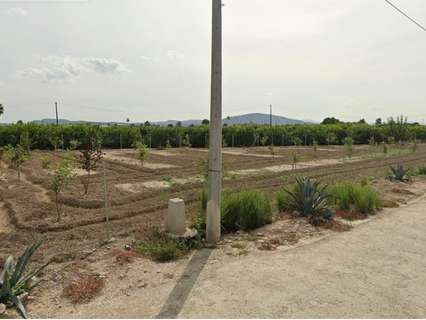 Parcela rústica en venta en Orihuela