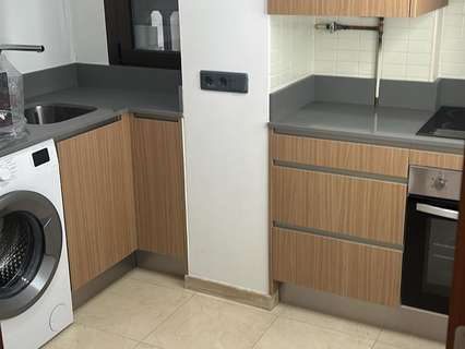 Estudio en alquiler en Orihuela