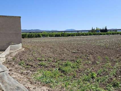 Parcela rústica en venta en Orihuela