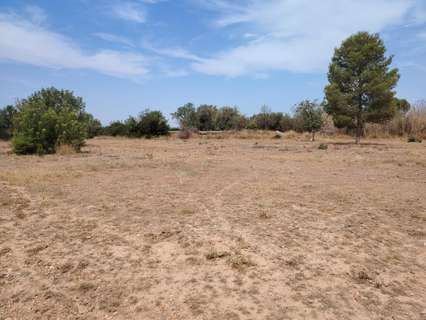 Parcela rústica en venta en Llíria