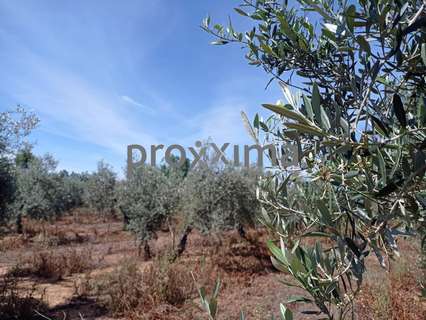 Parcela rústica en venta en Alcalá de Guadaíra