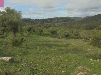 Casa rústica en venta en Algar