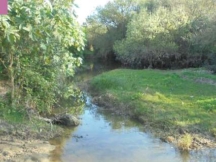 Casa rústica en venta en Alcalá de los Gazules