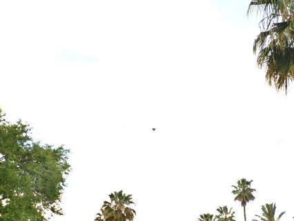 Casa en venta en Jerez de la Frontera