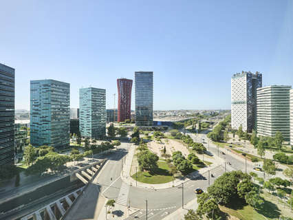 Oficina en alquiler en L'Hospitalet de Llobregat