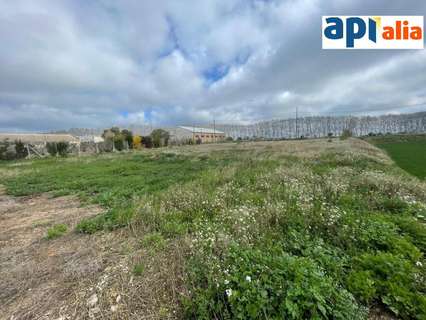 Parcela en venta en Mollerussa rebajada