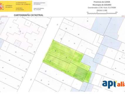 Parcela en venta en Golmés