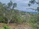 Parcela en venta en Lloret de Mar zona SERRA BRAVA rebajada