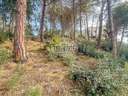 Parcela en venta en Lloret de Mar zona ROCA GROSSA