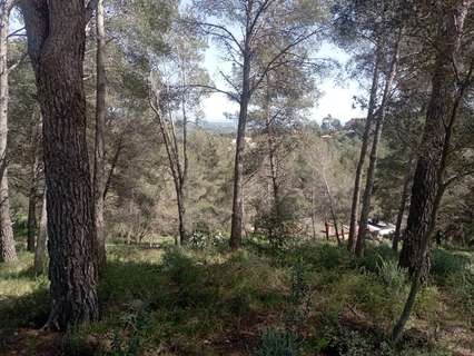 Parcela urbana en venta en Riudecanyes