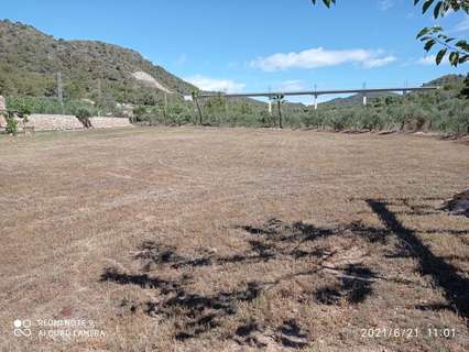 Parcela rústica en venta en Roda de Barà