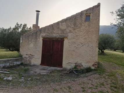 Parcela rústica en venta en Roquetes