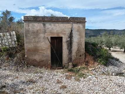 Parcela rústica en venta en Ulldecona