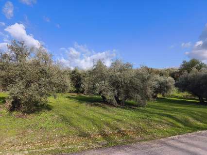 Parcela rústica en venta en Cabra