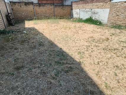 Parcela rústica en venta en Cabra