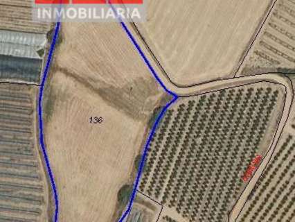 Parcela rústica en venta en Lepe