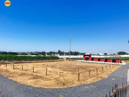 Parcela rústica en venta en Lepe