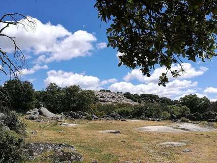 Parcela rústica en venta en Fresnedillas de la Oliva rebajada