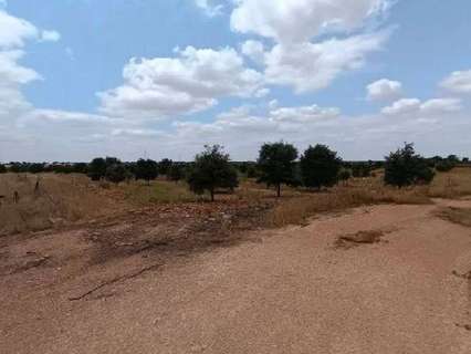 Parcela rústica en venta en Daimiel