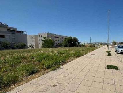 Parcela rústica en venta en Cabra rebajada