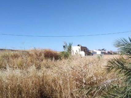 Parcela rústica en venta en La Palma del Condado