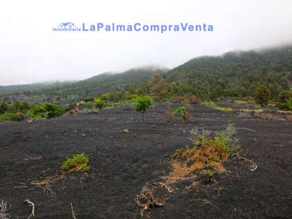 Parcela en venta en El Paso zona Las Manchas