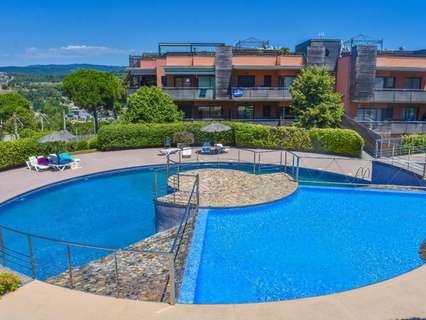 Planta baja en venta en Lloret de Mar