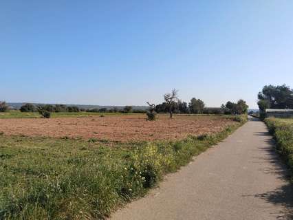 Parcela rústica en venta en Campos