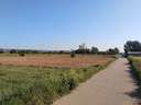 Parcela rústica en venta en Campos