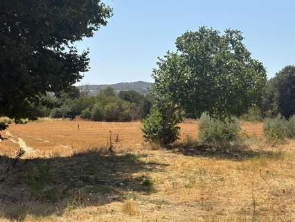 Parcela rústica en venta en El Grado