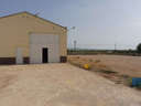 Nave industrial en alquiler en Fuente Álamo de Murcia