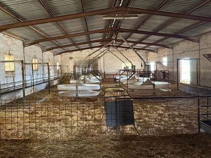 Local comercial en venta en Lorca