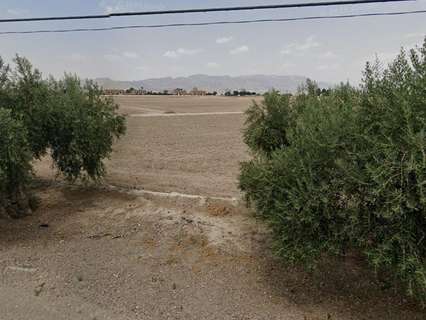 Parcela rústica en venta en Lorca
