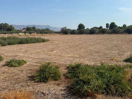Parcela rústica en venta en Lorca