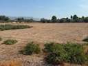 Parcela rústica en venta en Lorca