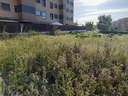 Parcela urbana en venta en Arroyo de la Encomienda