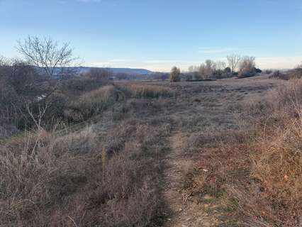 Parcela rústica en venta en Villamuriel de Cerrato