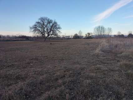 Parcela rústica en venta en Villamuriel de Cerrato