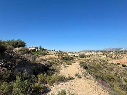 Parcela urbana en venta en Abanilla