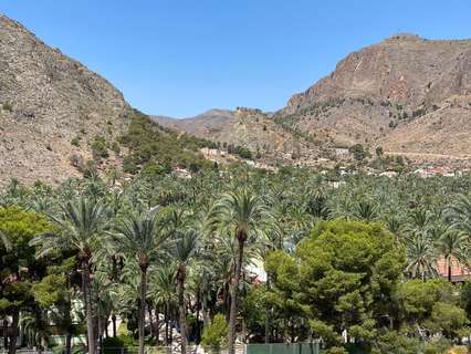 Piso en alquiler en Orihuela