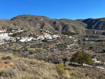 Parcela rústica en venta en Felix