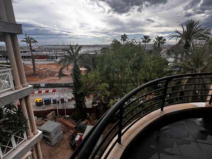 Apartamento en alquiler en Torrevieja