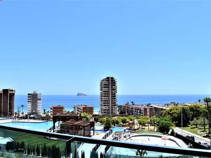 Apartamento en alquiler en Benidorm