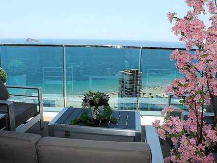 Apartamento en alquiler en Benidorm
